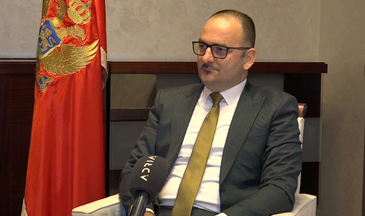 Dobardžić: Low cost kompanije obnavaljaju letove iz Crne Gore