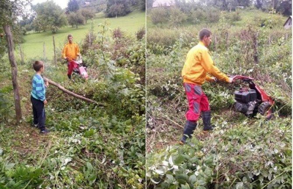 Bjelopoljski malinari i hladnjačari traže pomoć ministarstva: Prije nove berbe naći tržište za maline