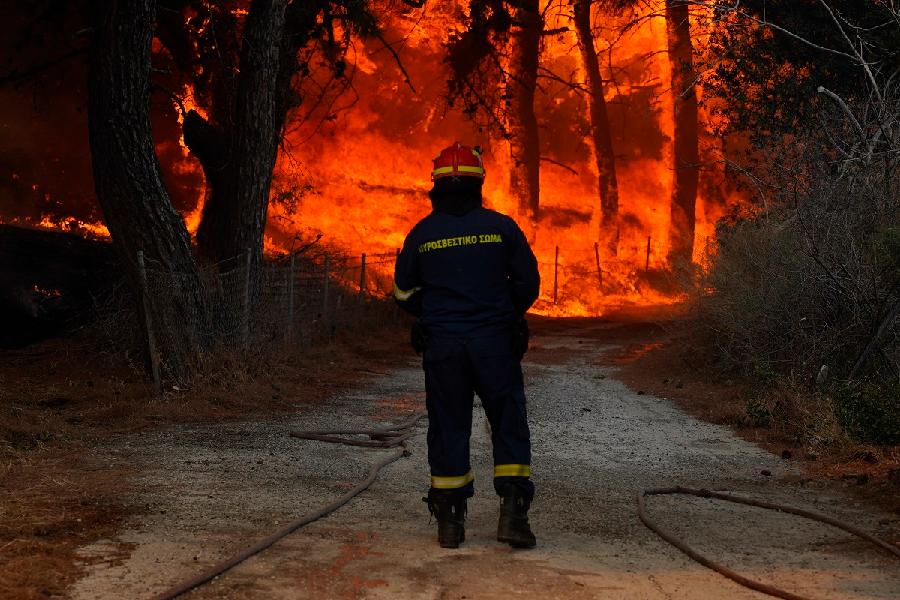 Plav: U požaru stradala jedna osoba