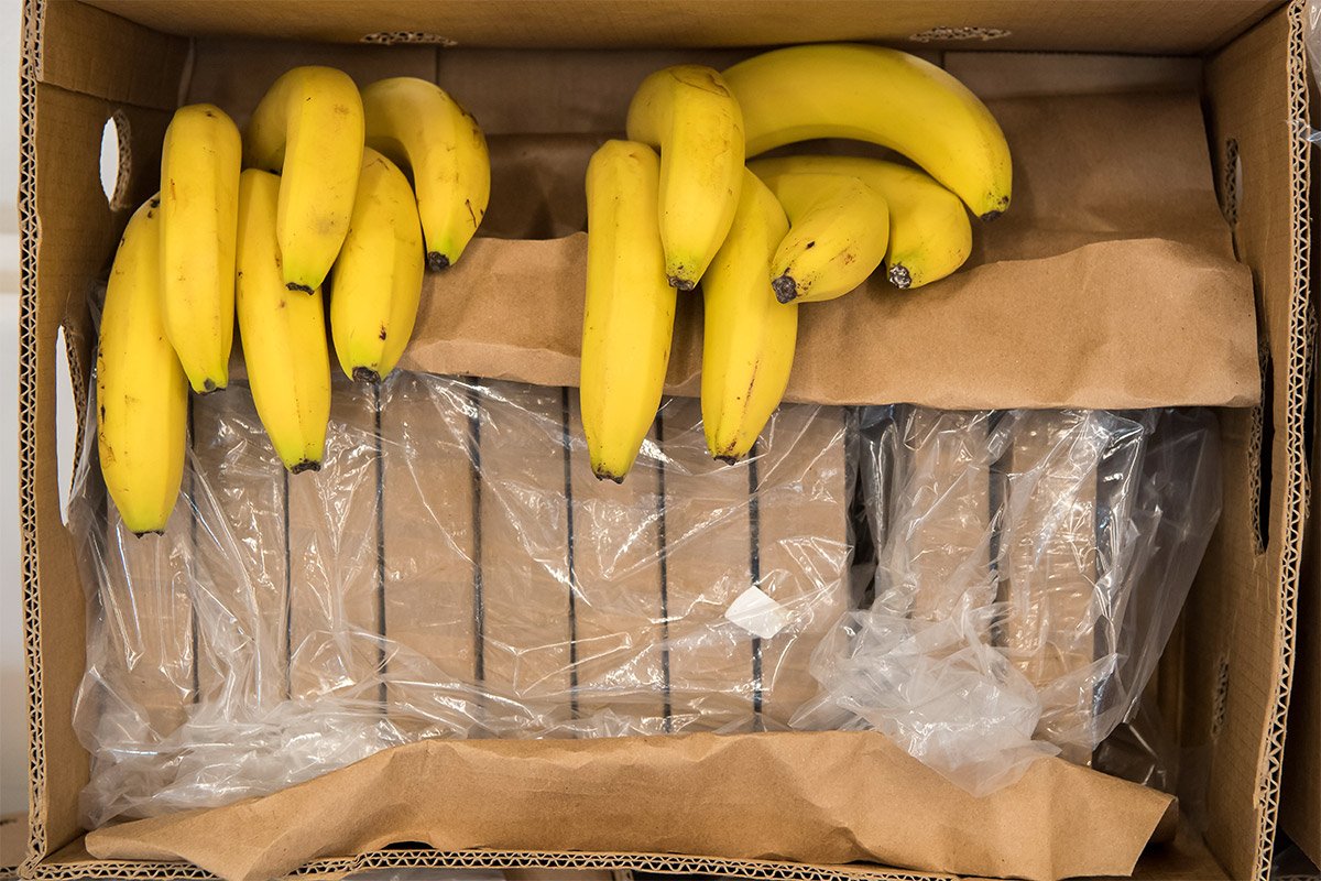 Pošiljke banana iz Ekvadora – idealan parav za šverc kokaina