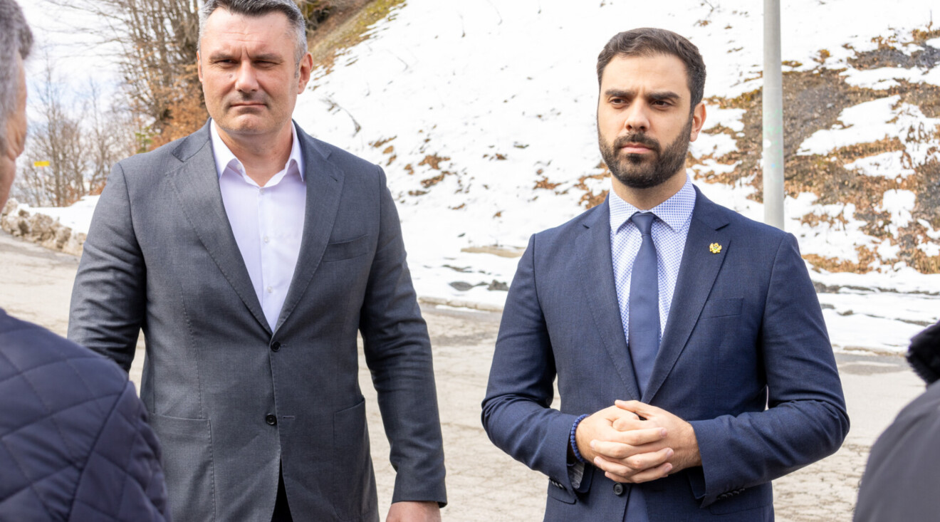 Radulović: Prevozili balvane pa oštetili put