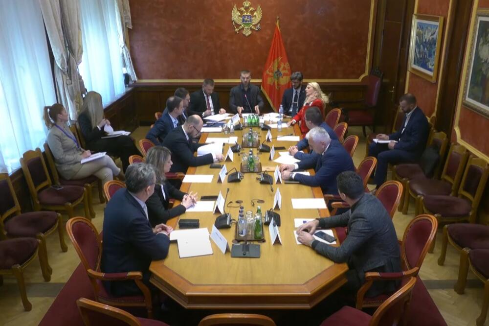 Izabrani članovi Odbora za izbornu reformu iz NVO i akademske zajednice