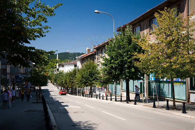 Pljevlja: Sjutra akcija čišćenja otpada i sadnja sadnica na zelenim površinama
