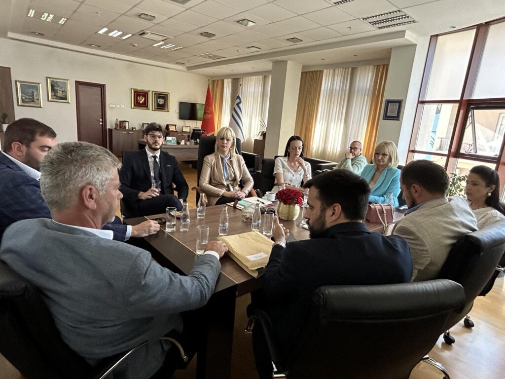 Borovinić Bojović: Podrška inicijativama Crvenog krsta