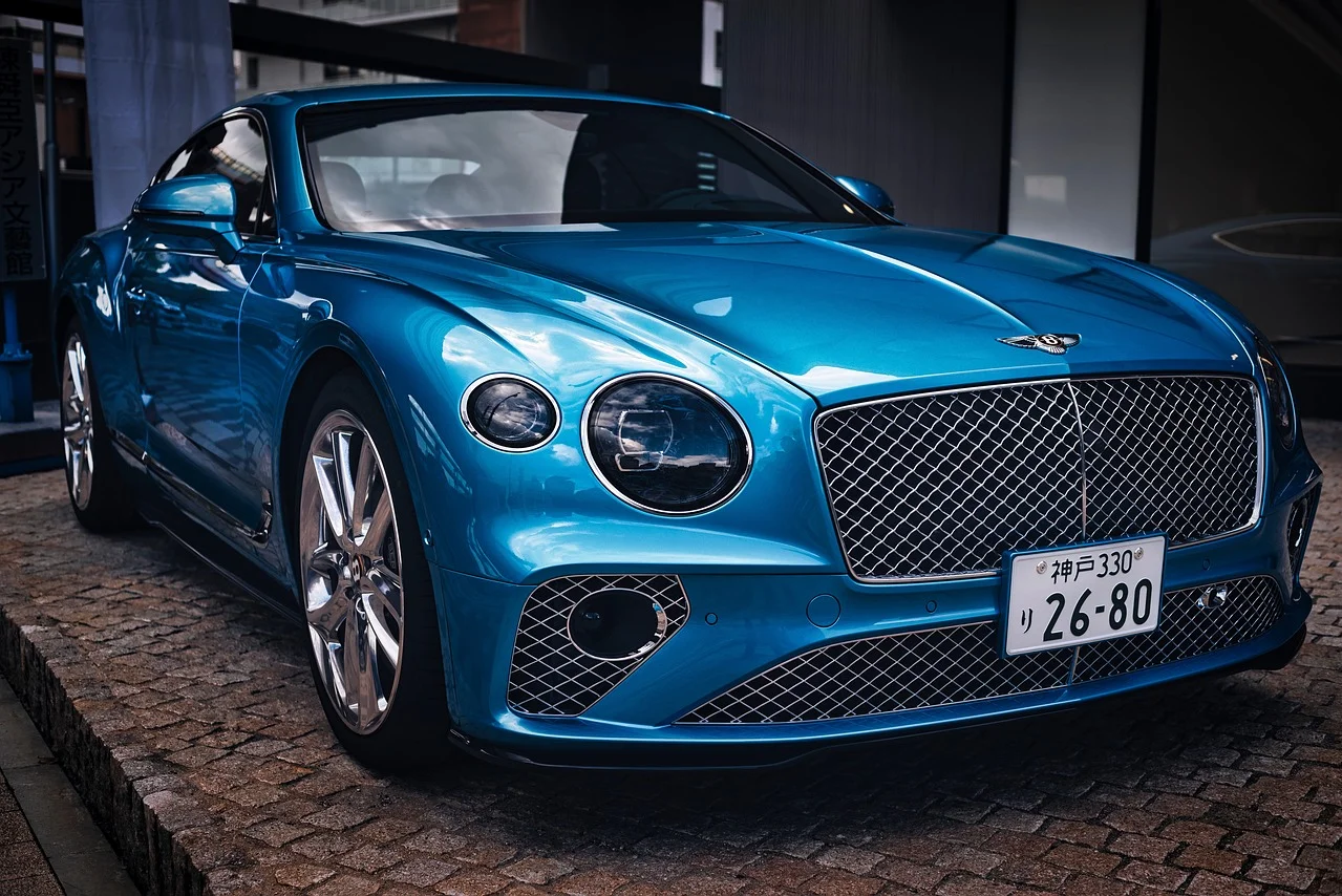 Rezultati SDT-a: Zaplijenjeni skupocjeni satovi marke „Cartier“, Bentley, umjetničke slike…