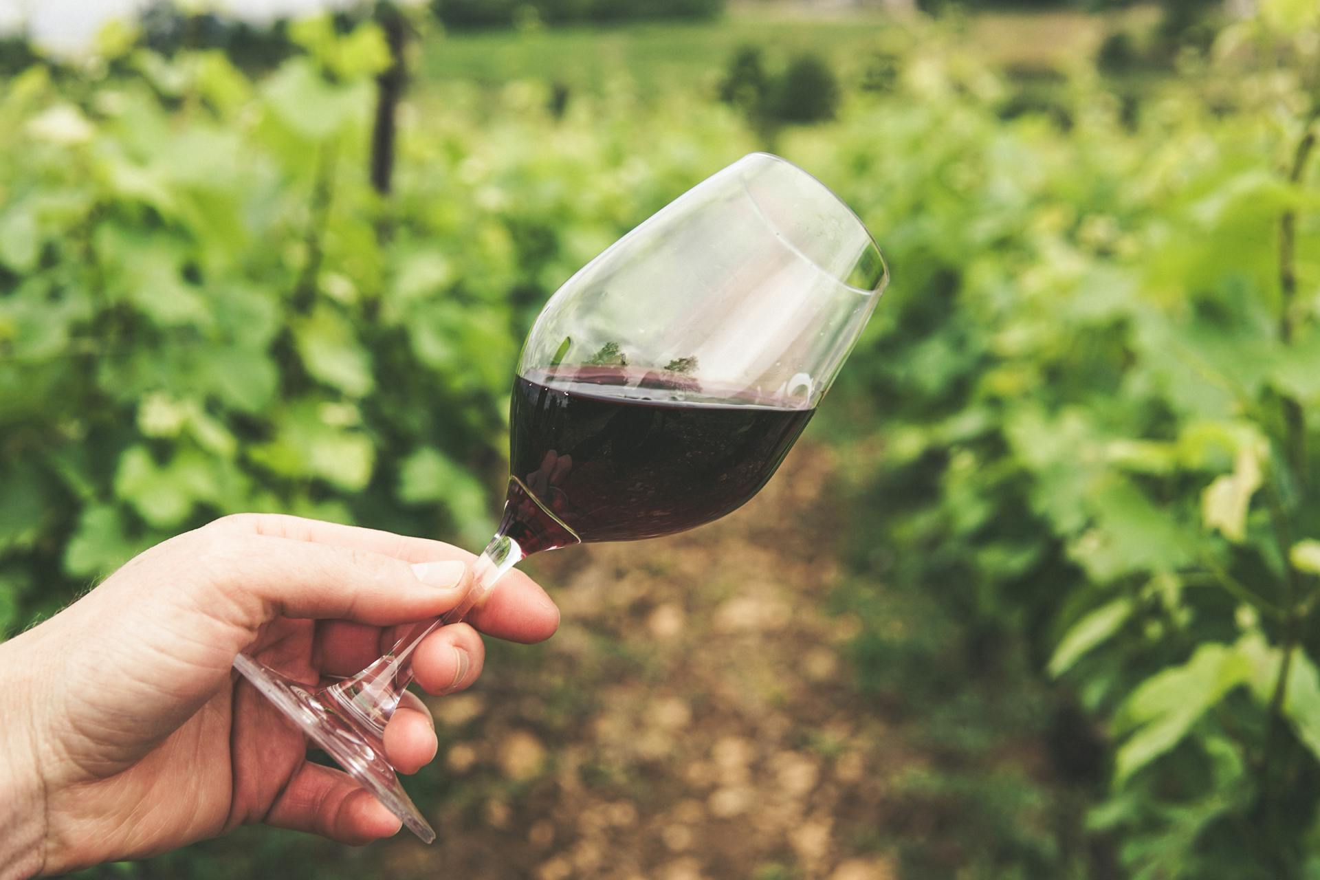 Ministartsvo objavilo Javni poziv za mjere posebne podrške za vino