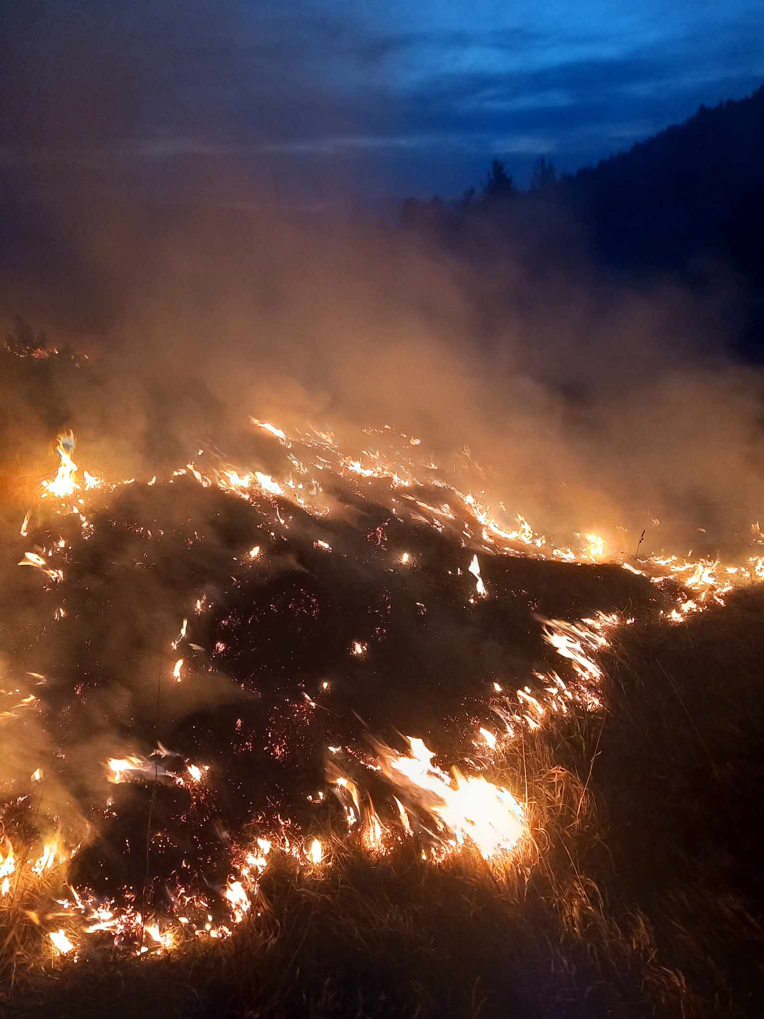 Zbog požara ugrožen biodiverzitet Nacionalnog parka Durmitor