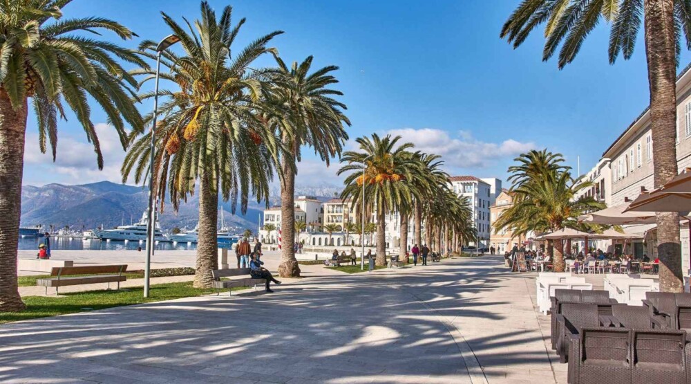 TO Tivat: Trenutna popunjenost najava dobre sezone