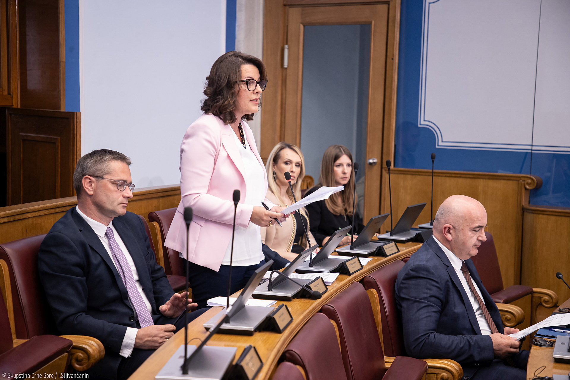 Vujović: Na karnevalsko spaljivanje lutke sa likom pisca i novinara Nikolaidisa reagovala sam odgovorno, primjereno i moralno 