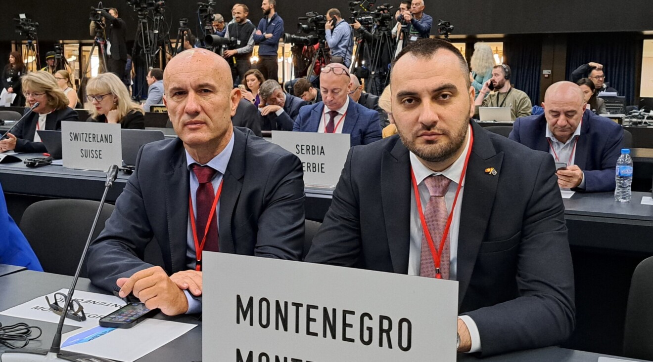 Stjepović i Laković učestvovali u radu proljećnjeg zasijedanja Parlamentarne skupštine NATO 2024