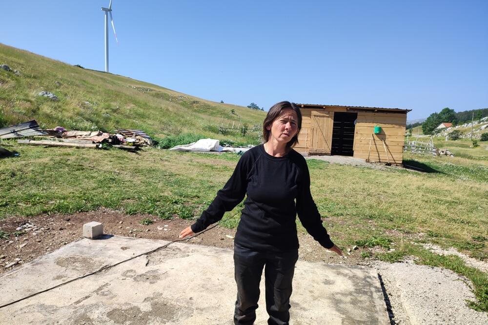 Slavki Adžović psi lutalice zaklali četvoro jaradi: „Zaštićeniji su od nas, pitam se gdje je taj azil…“