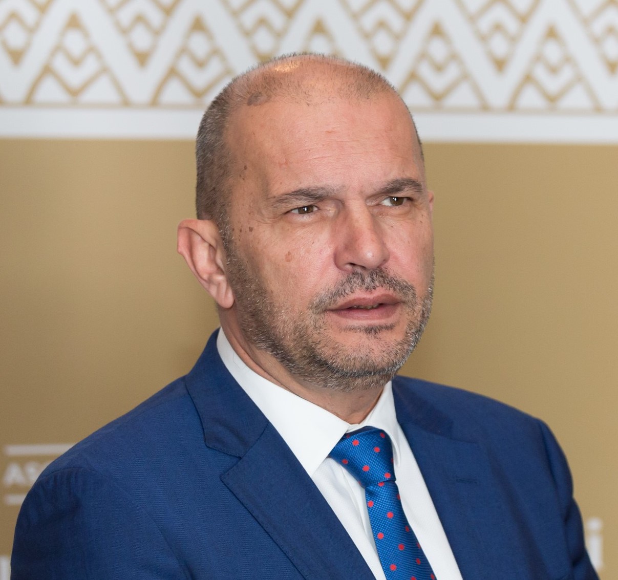 Raičković : Da bi program Evropa sad 2 uspio treba da imamo privredni rast, jedan od problema je i visok stepen sive ekonomije