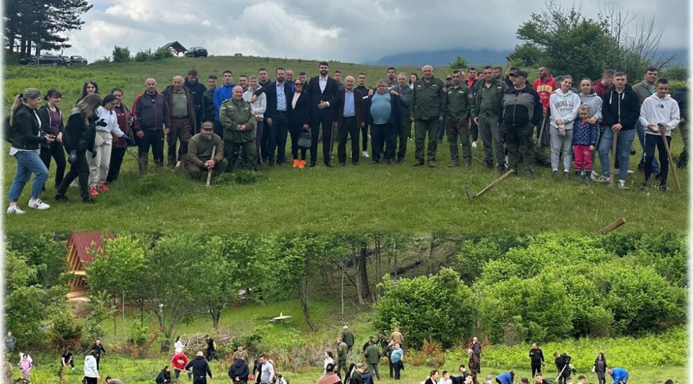 Velika akcija pošumljavanja izletišta Skić u Plavu