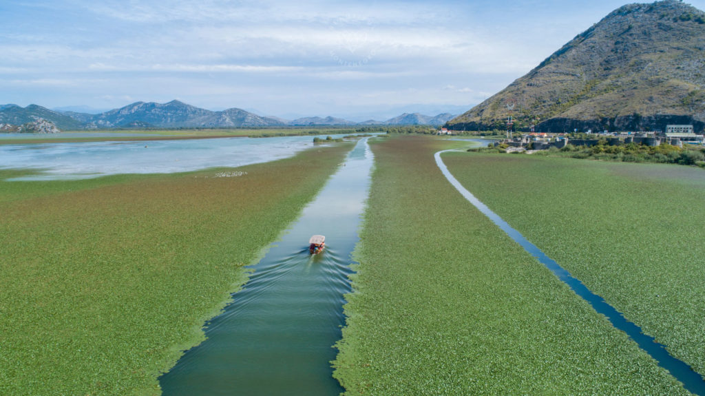 Završen ribolovni zabran u NP Skadarsko jezero