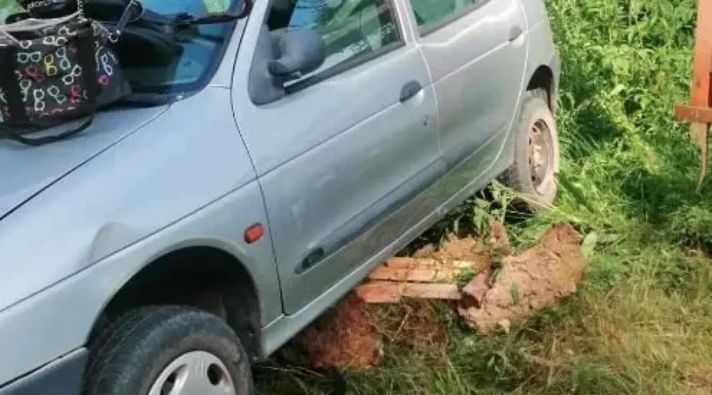 Pljevlja: Vidjela guštera u autu, pa sletjela sa puta