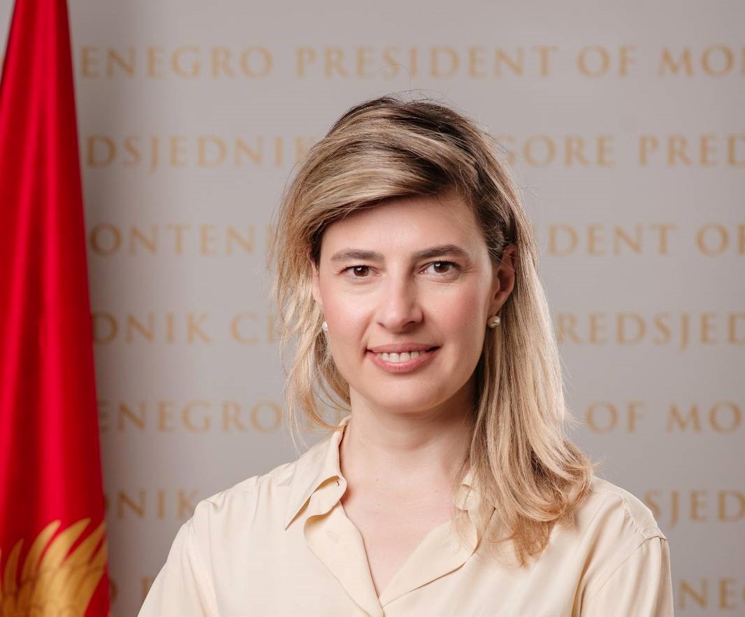 Ministar Ivanović mijenja teze