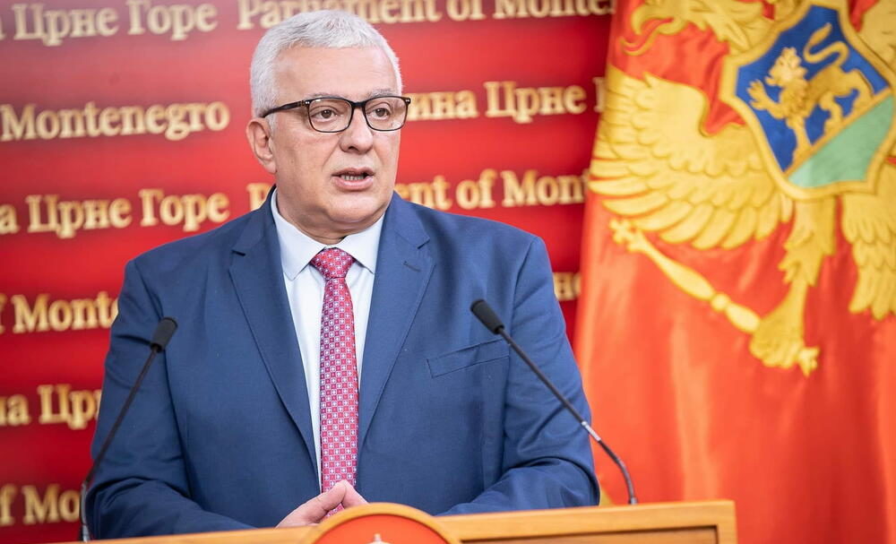 Mandić: Danas radimo veliku stvar, u Crnoj Gori su se na Vidovdan uvijek donosile važne odluke!