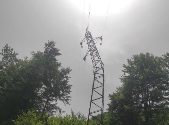 CEDIS: Tokom sječe šume polomljen stub dalekovoda, područje Veruše, Trebješice, Ptiča i Kosa bez struje