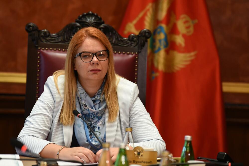 Vukićević: Odgovornost za napad koji je doživjela Vesna Bratić imaju i oni koji joj mjesecima crtaju metu