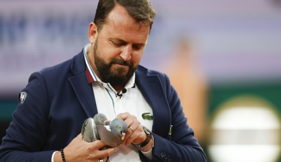 Sudija tokom meča na Rolan Garosu spasio goluba koji je pao na teren