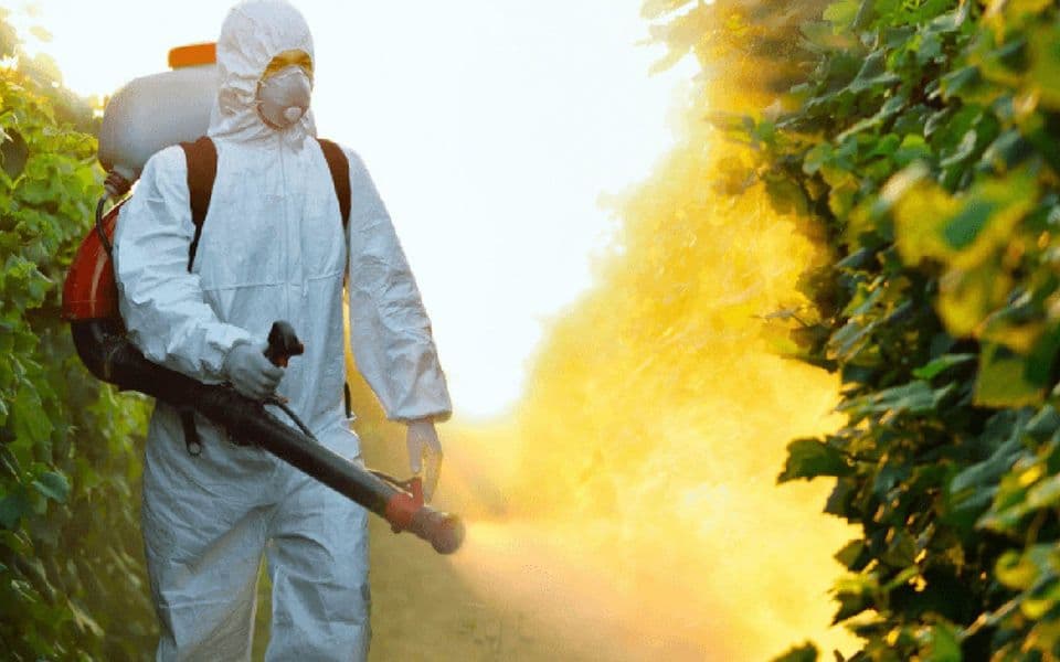 U Podgorici danas počinje zaprašivanje komaraca