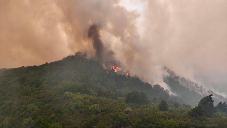 Kina: Lokalne vlasti ugasile šumski požar kišom iz vještačkog oblaka