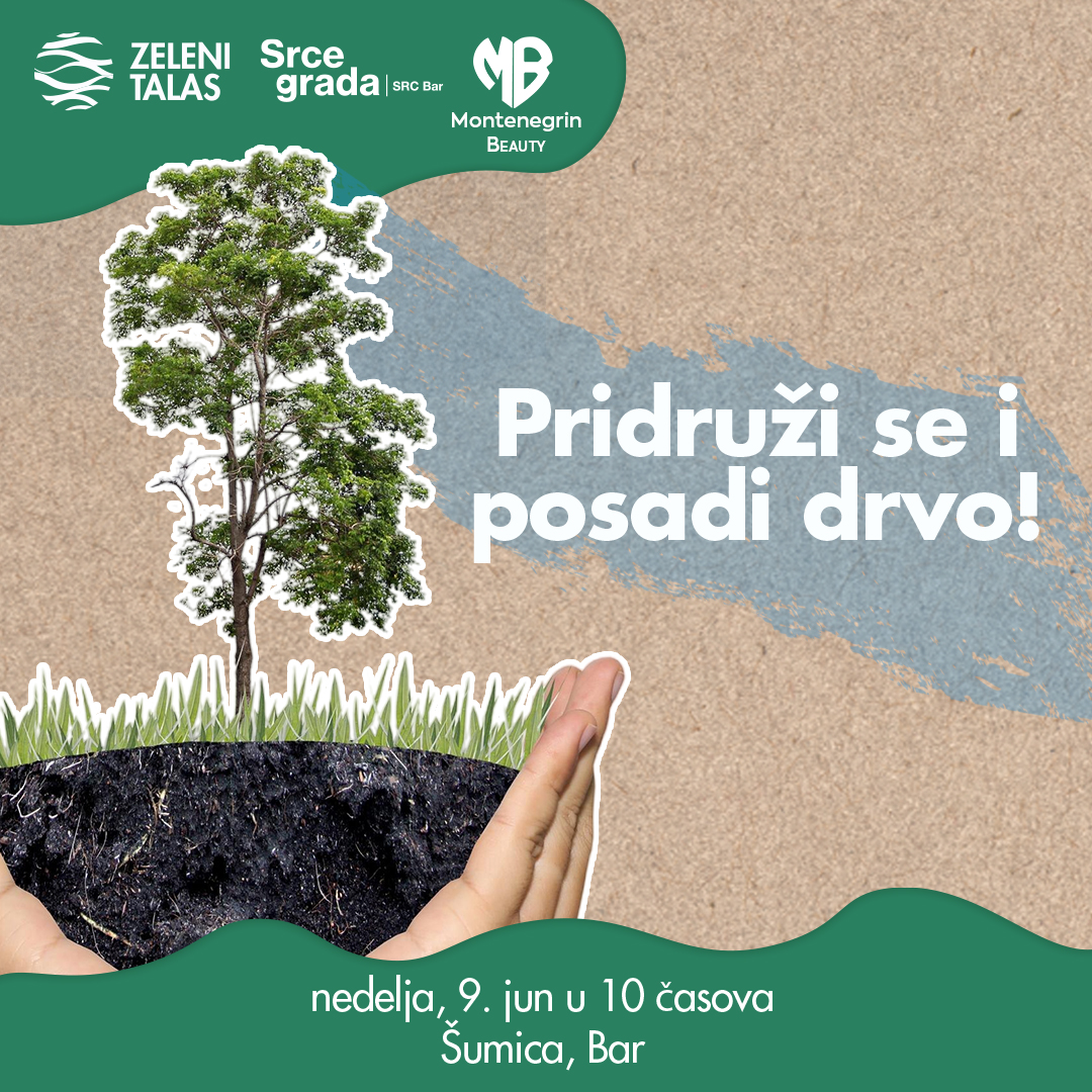 Zeleni talas organizuje veliku akciju sadnje crnog bora u Baru