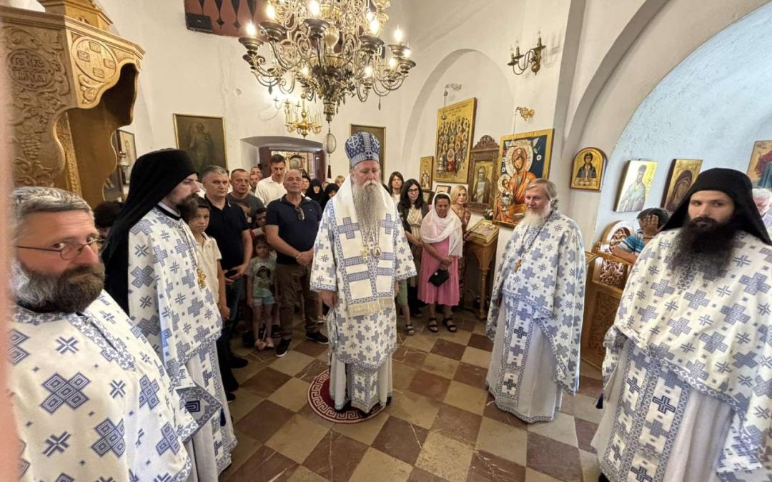 Mitropolit Joanikije: Zar nije svaki grijeh, kojim je čovjek natovaren, teška bolest