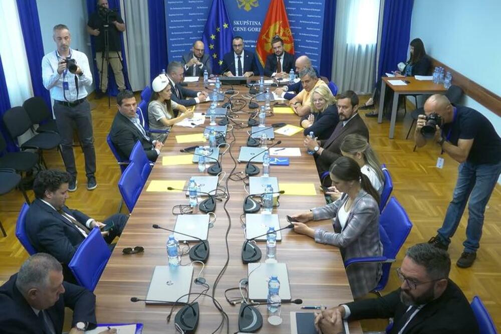 Nastavljeni razgovori sa budućim ambasadorima na Odboru za međunarodne odnose i iseljenike
