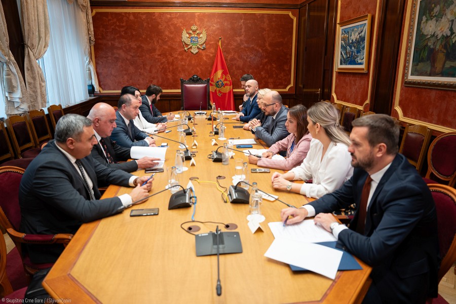 Delegacija Grupe prijateljstva Parlamenta Gruzije u Crnoj Gori