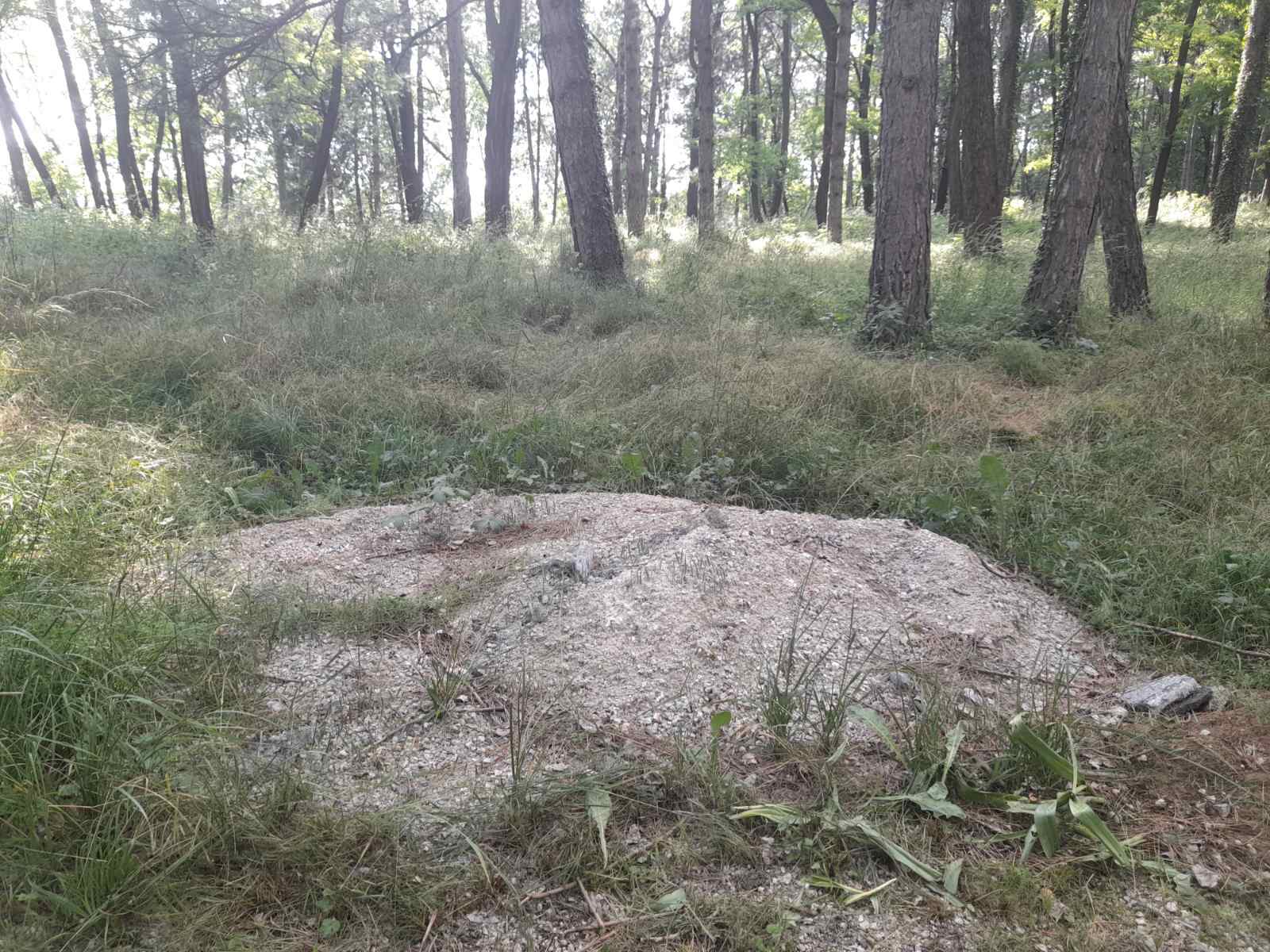 Mreža NVO sa Sjevera: Građani su revoltirani i nezadovoljni kako se zelene površine održavaju