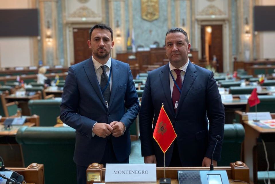 Eraković i Smailović u OEBS-u: Potreba i podsjećanje na trajnu važnost dijaloga