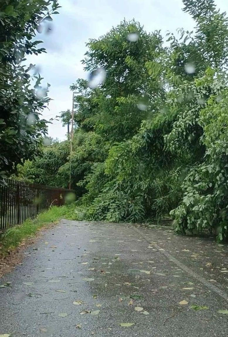 DPS Zeta: Službe zetske opštine nesposobne, nakon nepogode nema ih na terenu