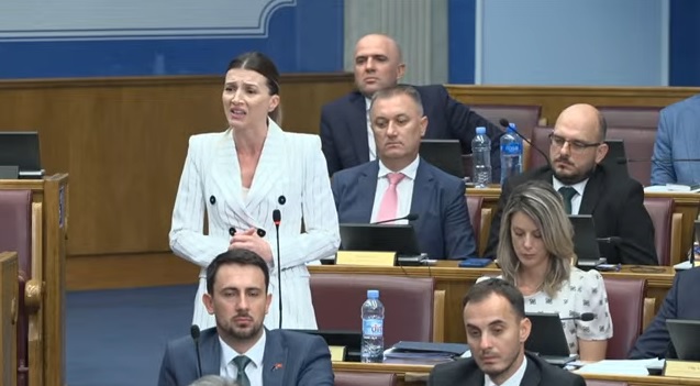 Strujuć Harbić: Ne mogu mi mangupi sa tastatura nalijepiti kokardi koliko ja kao jedna Bošnjakinja mogu pretrpjeti udaraca