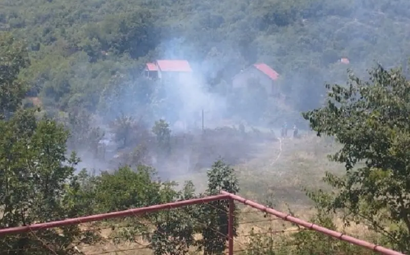 Požar na Bokovu kod Cetinja, ubrzo lokalizovan