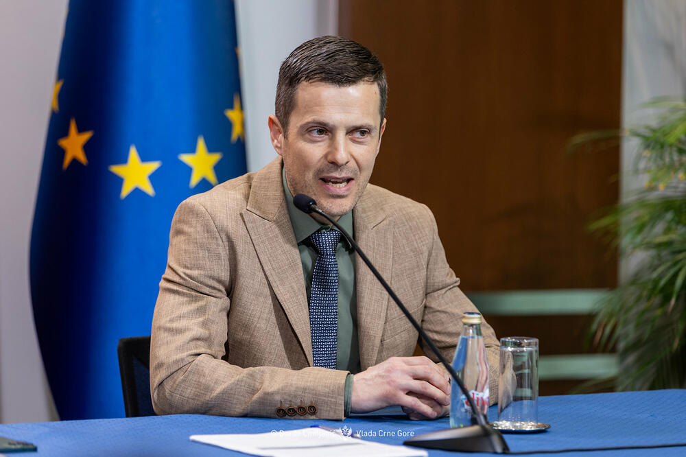Kontrolno saslušanje Mujovića, predstavnika CEDIS-a, EPCG i DRI u ponedjeljak