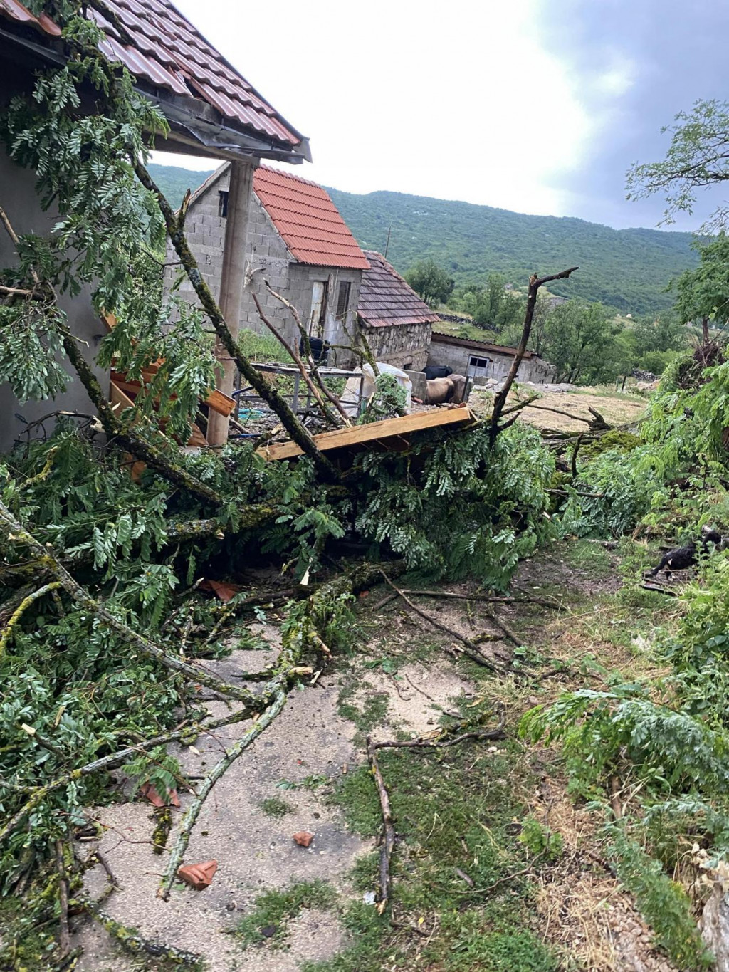 Jako nevrijeme kod Nikšića: Olujni vjetar oštetio krovove kuća, čupao drveća