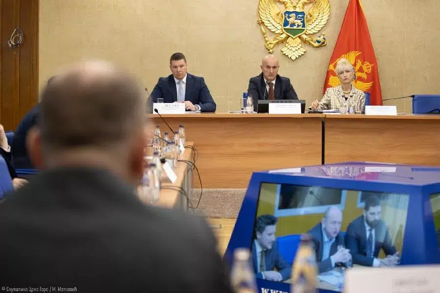 Odbor za bezbjednost i odbranu će saslušati Milića i Brđanina