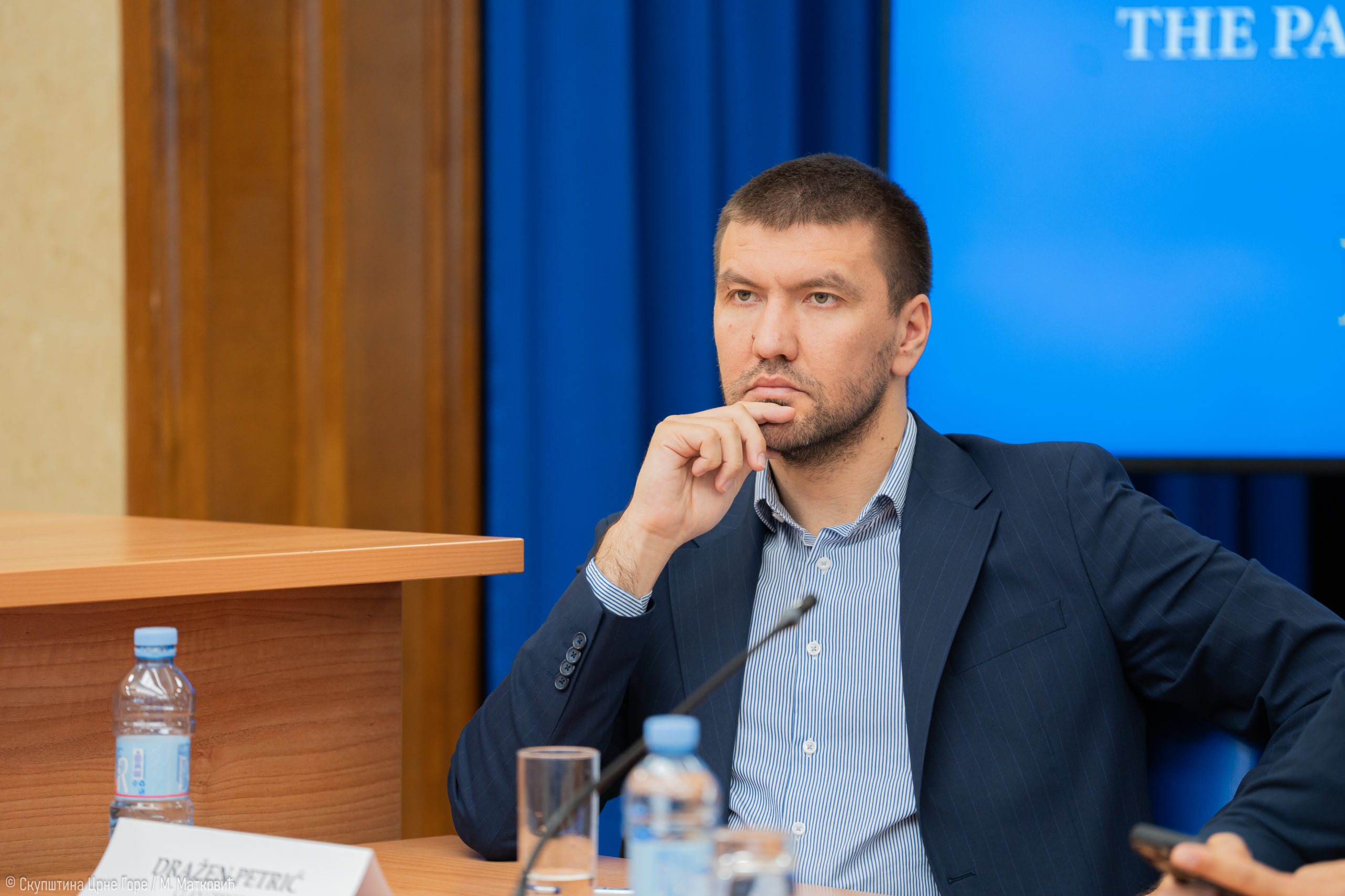 Petrić: Ekonomski program PES-a superioran, kritikuju ga oni koji nemaju svoj