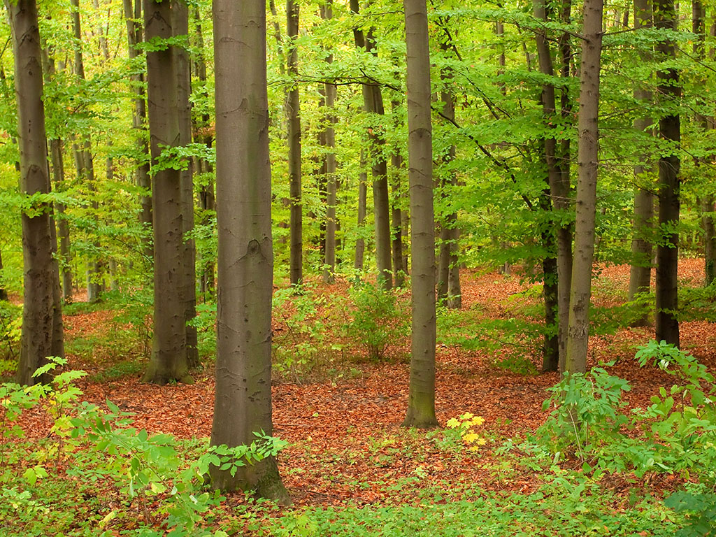 Ljeto idealno za švercerske puteve preko planina
