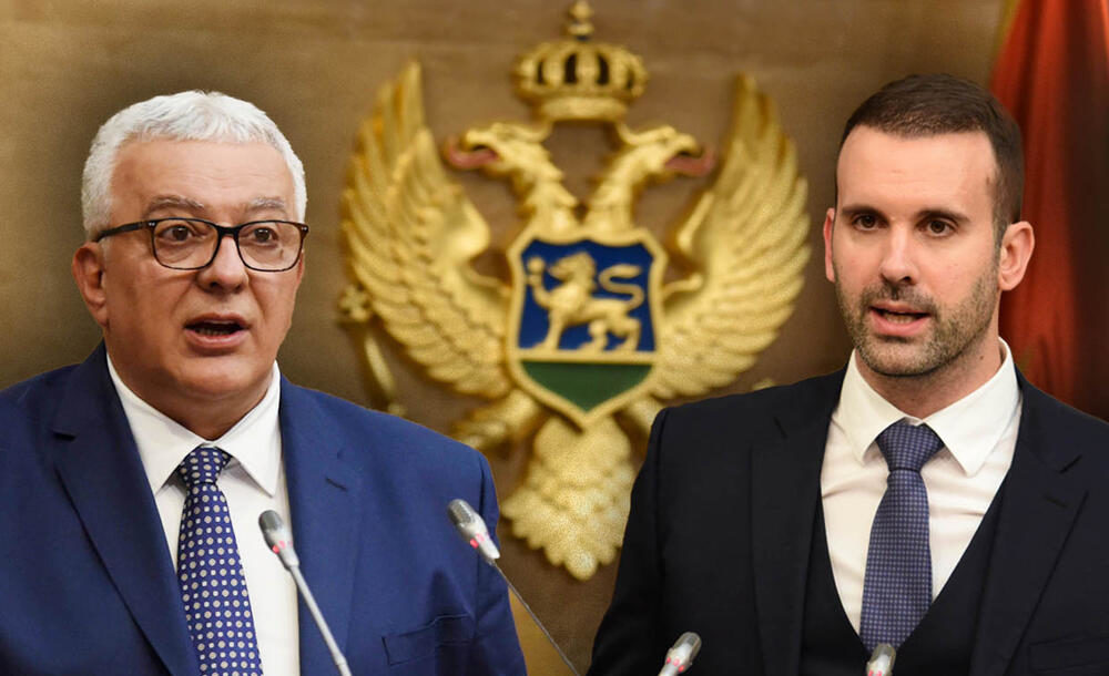 Spajić najpopularniji političar, slijede Živković, Knežević, Mandić