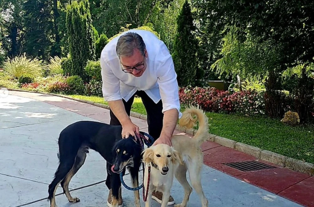 Vučić: Od Srbije sam sve dobio i sve sam joj dao, boriću se svom snagom protiv kriminalaca koji bi da je unište (FOTO)