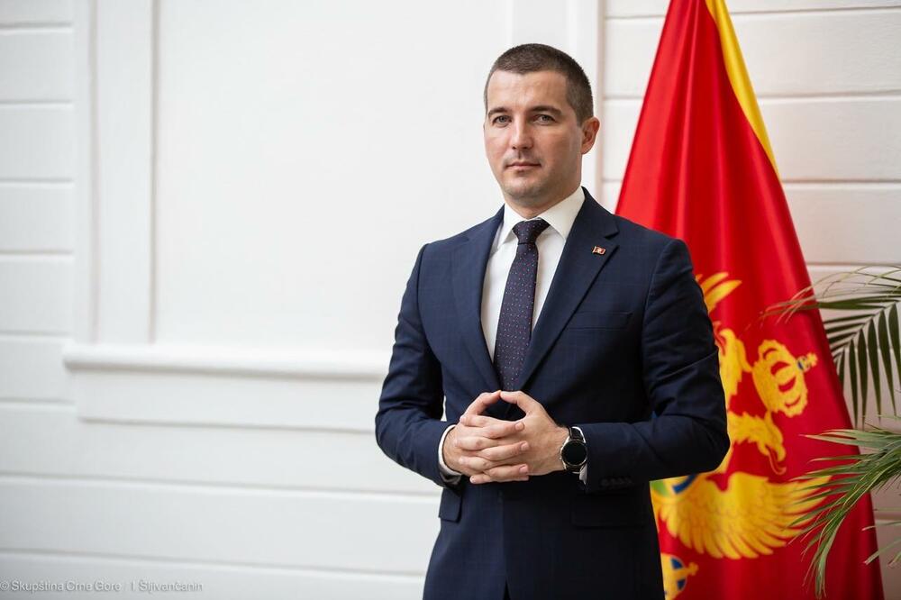 Aleksa-Becic-2