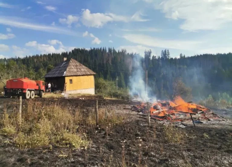 Požar u selu Čavanj kod Pljevalja: Izgorjela dva pomoćna objekta, sprečeno širenje na porodičnu kuću