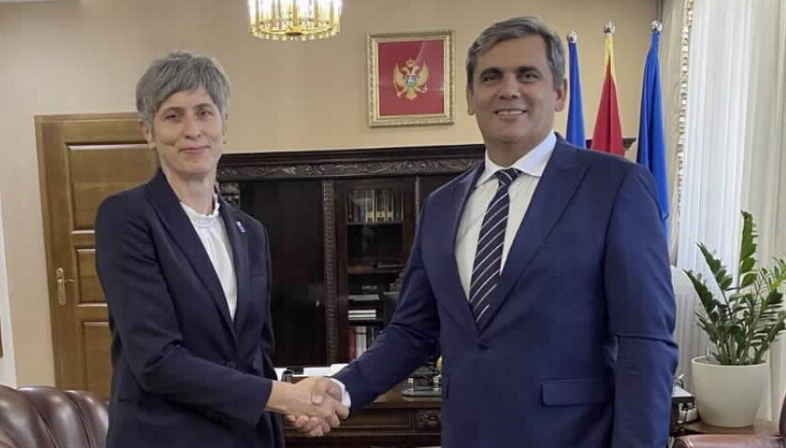 Ibrahimović – Paniklova: UNDP pruža značajnu podršku u realizaciji reformske agende