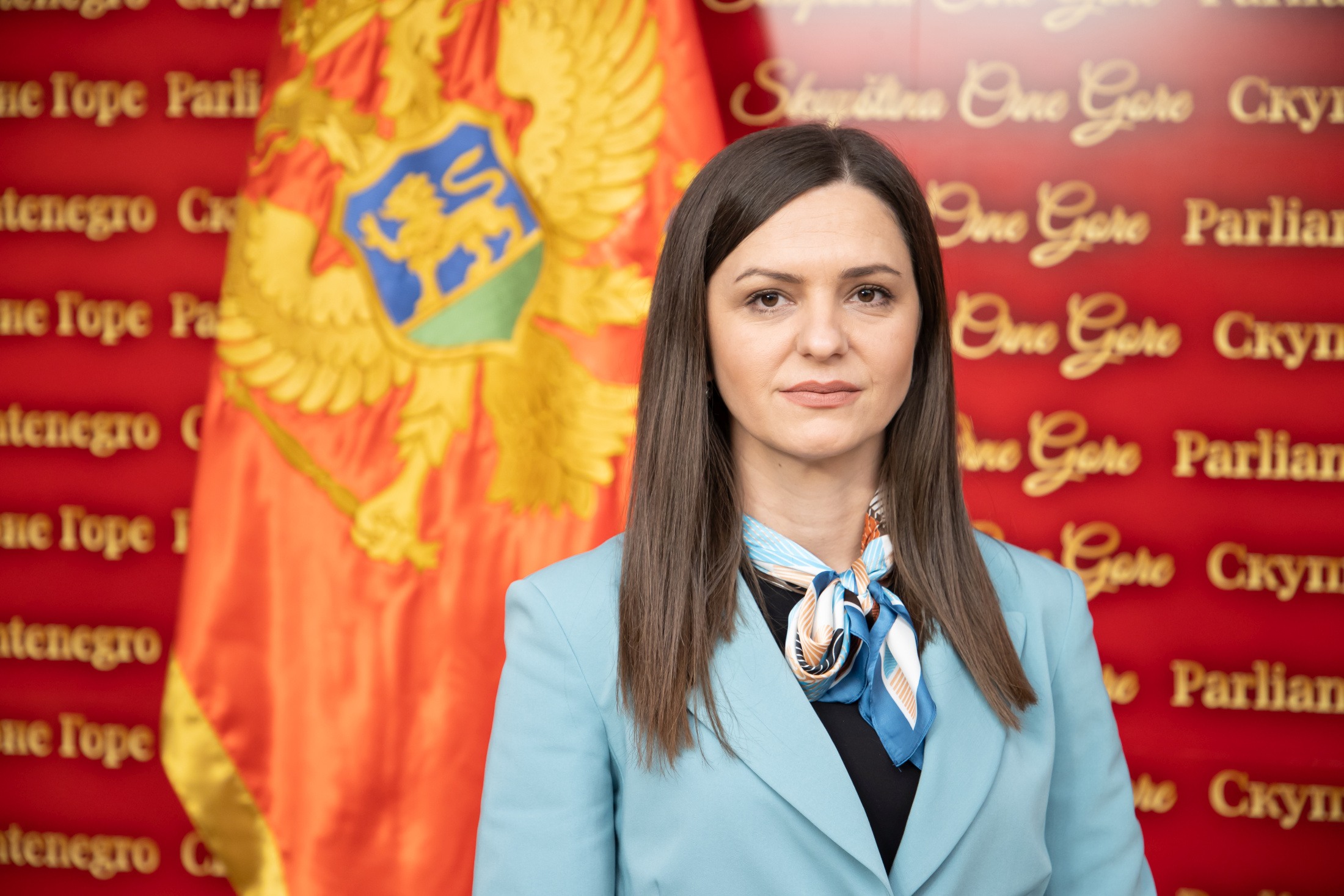 jelenka-andric-1