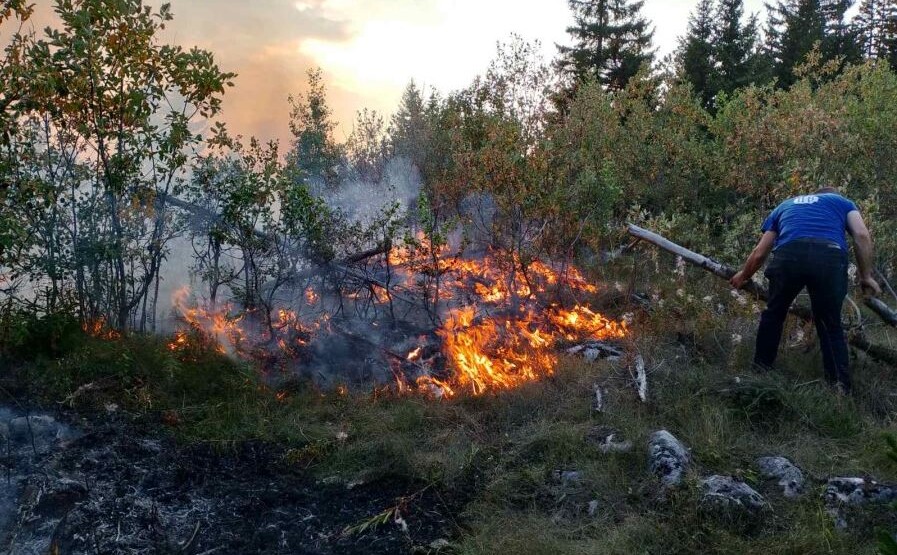 Ponovo gori na Prošćenskim planinama