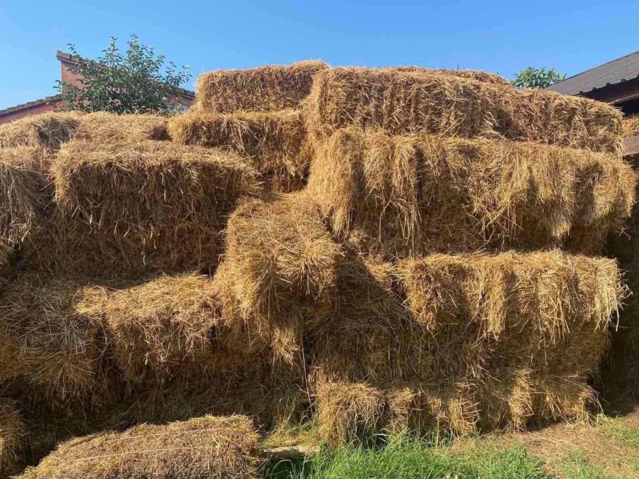 Problem u selima na sjeveru: Sijena ima, ali nema ko da ga kupi