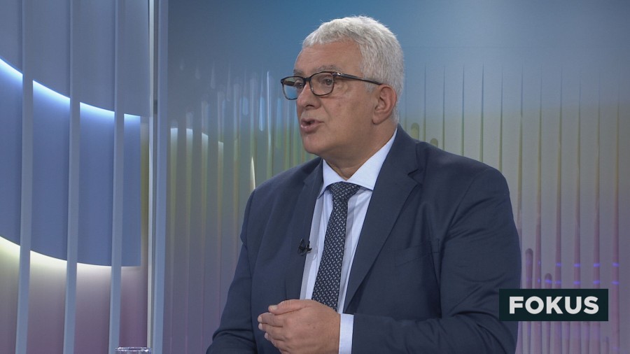 Mandić: Hrvatska neće blokirati evropske integracije Crne Gore, prema slučaju Rezolucije treba da se ponesu kao Austrija i Njemačka