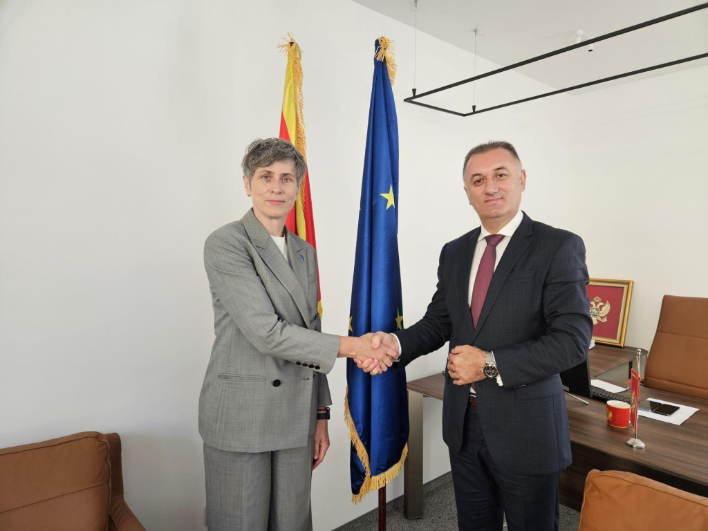 Gutića – Paniklova: UNDP spreman da pruži ekspertsku podršku za napređenje socijalne zaštite u Crnoj Gori